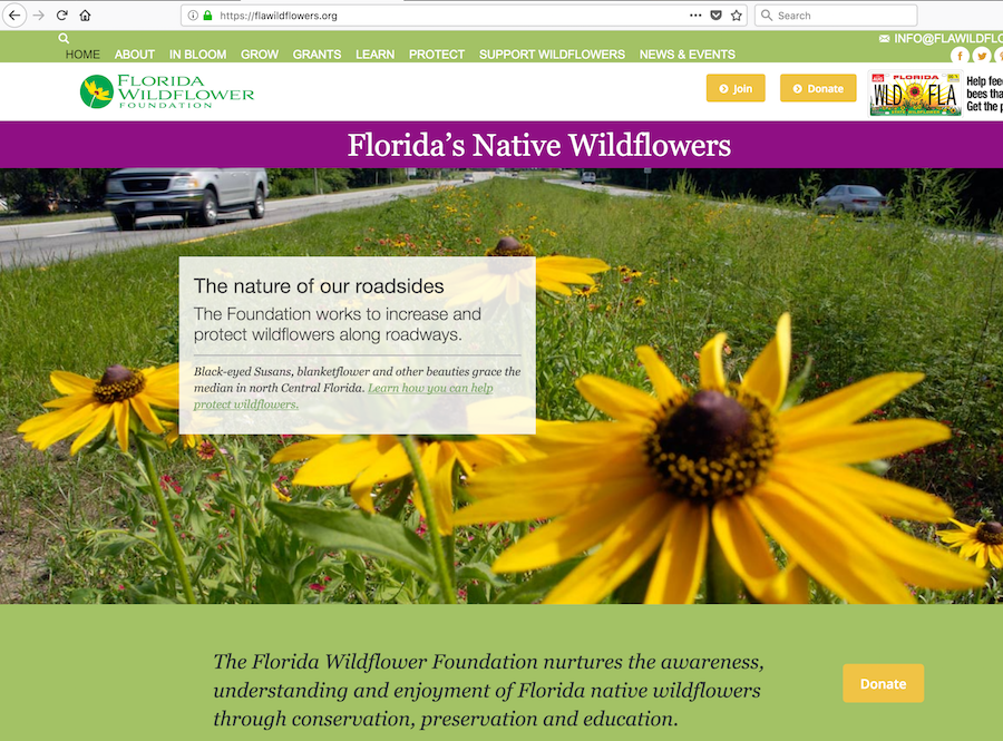 Florida Wildflower Foundation